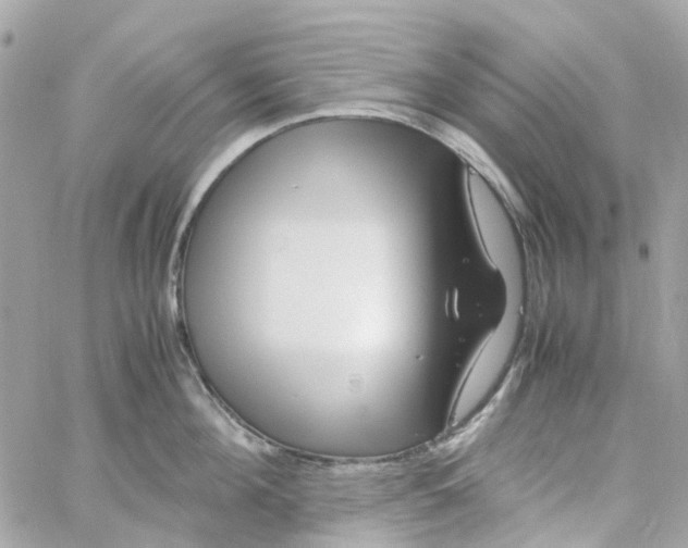 X0000059250908200510281953