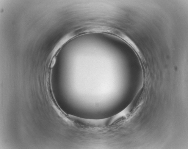 X0000059250909200510281953