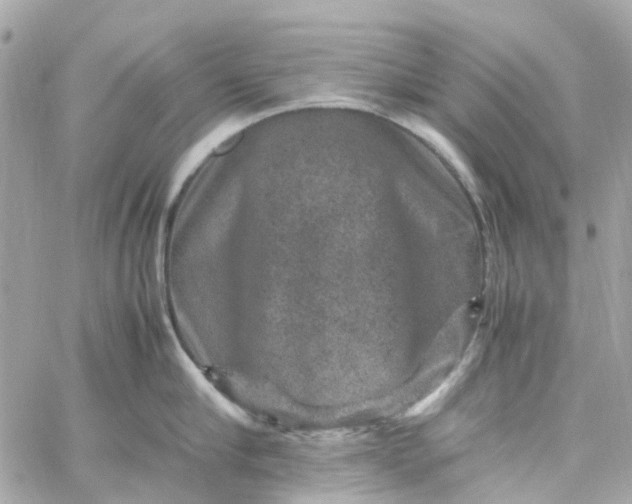 X0000059250910200510281953