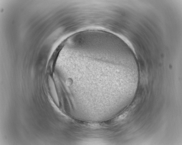 X0000059250911200510281953