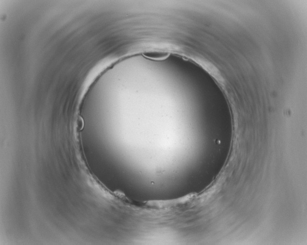 X0000059250912200510281953