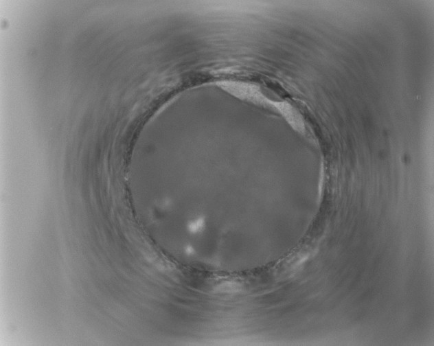 X0000059250913200510281952