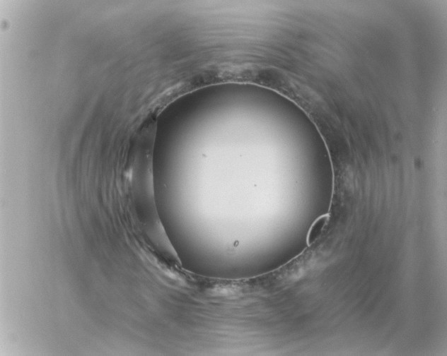 X0000059250914200510281952