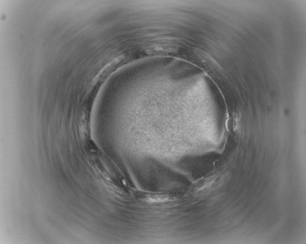 X0000059250915200510281952