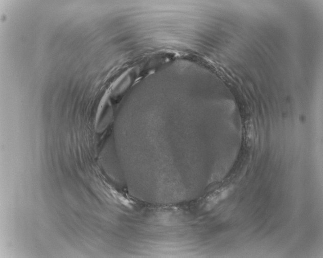 X0000059250916200510281952