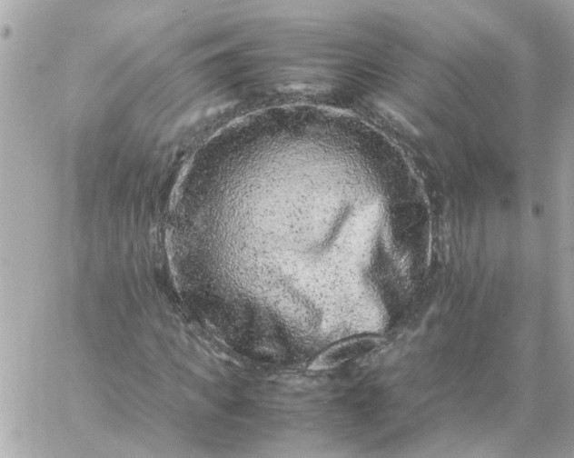 X0000059250917200510281952