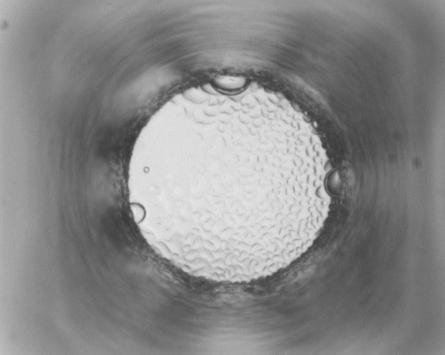 X0000059250918200510281952