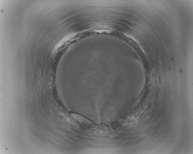 X0000059250919200510281952