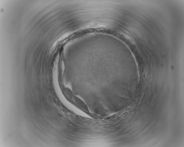 X0000059250920200510281952