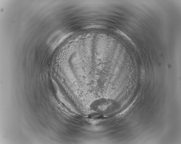 X0000059250921200510281952