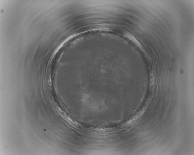 X0000059250923200510281952