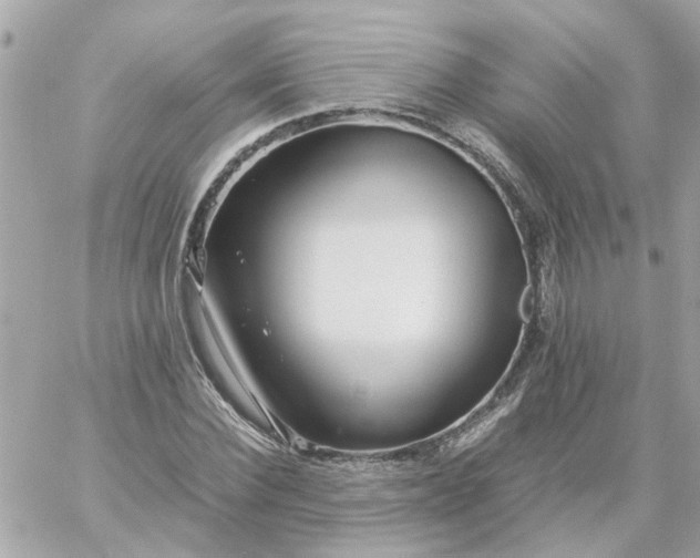 X0000059250924200510281952