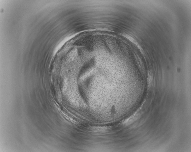 X0000059250925200510281952