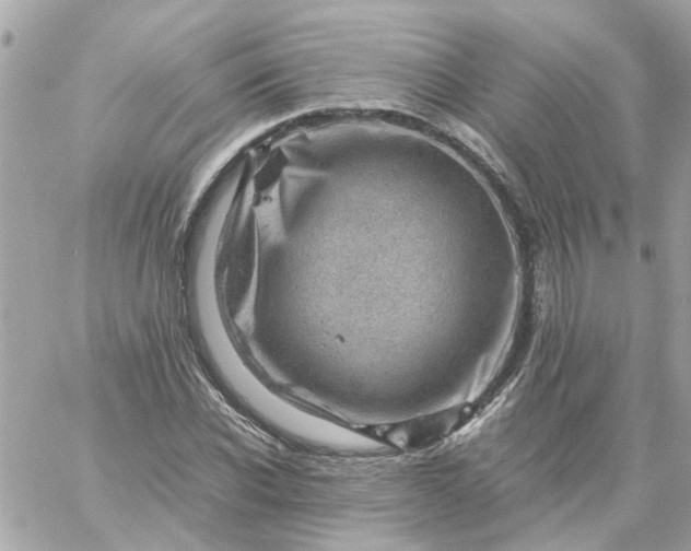 X0000059250926200510281952