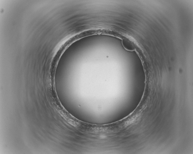 X0000059250927200510281952