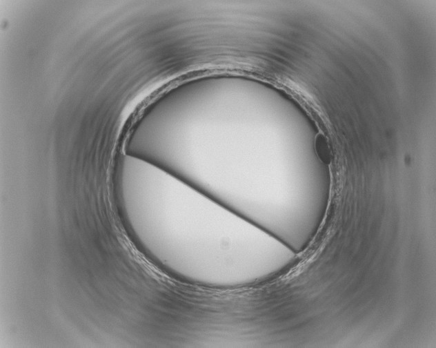 X0000059250928200510281952