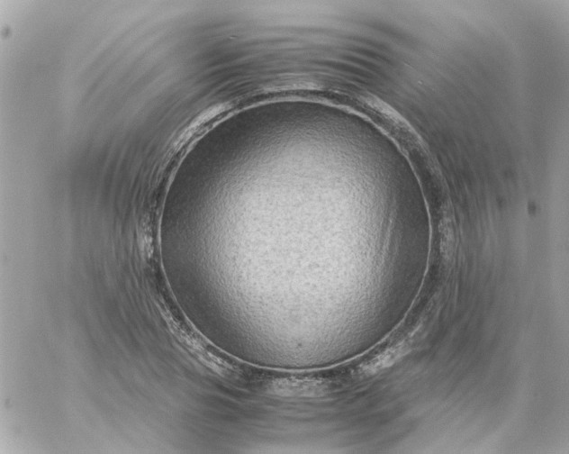 X0000059250929200510281952