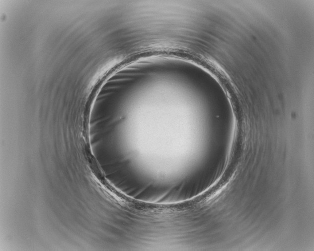 X0000059250930200510281952