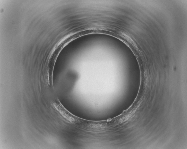 X0000059250931200510281952