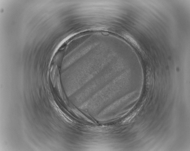 X0000059250932200510281952