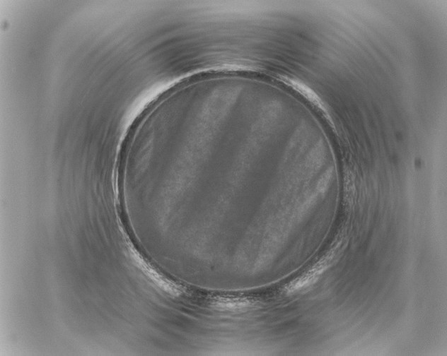 X0000059250935200510281952