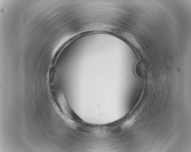 X0000059250936200510281952