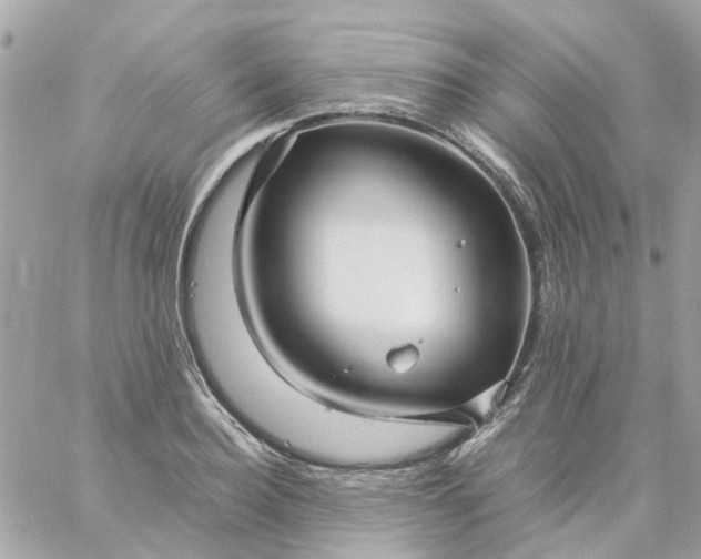 X0000059250940200510281952