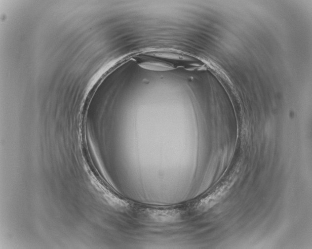 X0000059250941200510281952