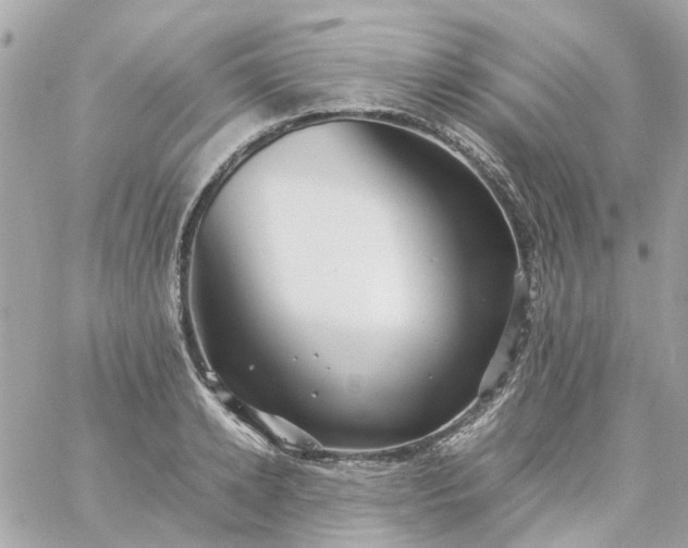 X0000059250942200510281952