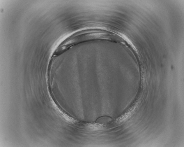 X0000059250943200510281952