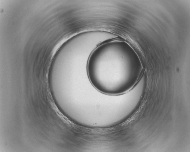 X0000059250944200510281952