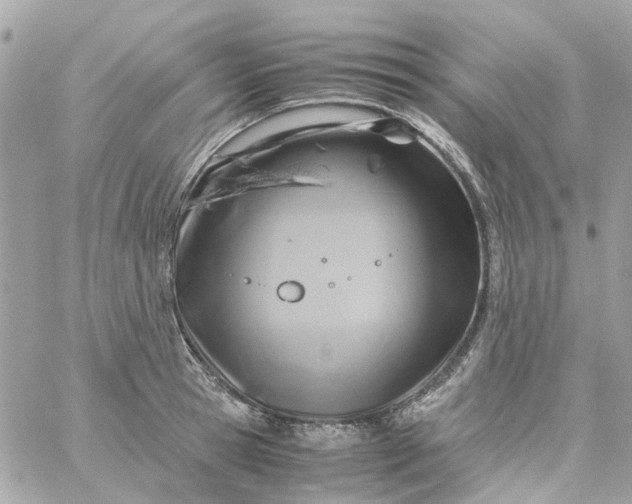 X0000059250945200510281952