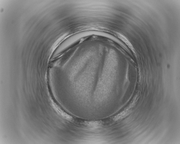 X0000059250946200510281952