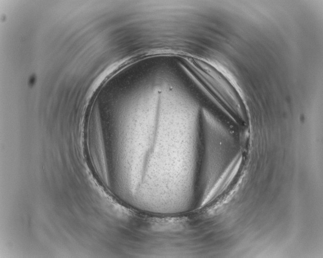 X0000059250949200510281952