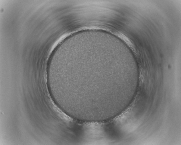 X0000059250950200510281953