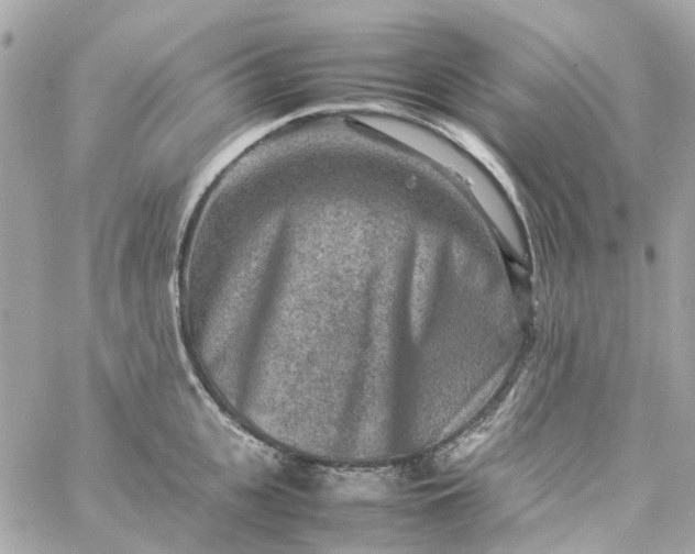 X0000059250951200510281953