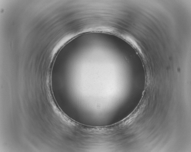 X0000059250952200510281953