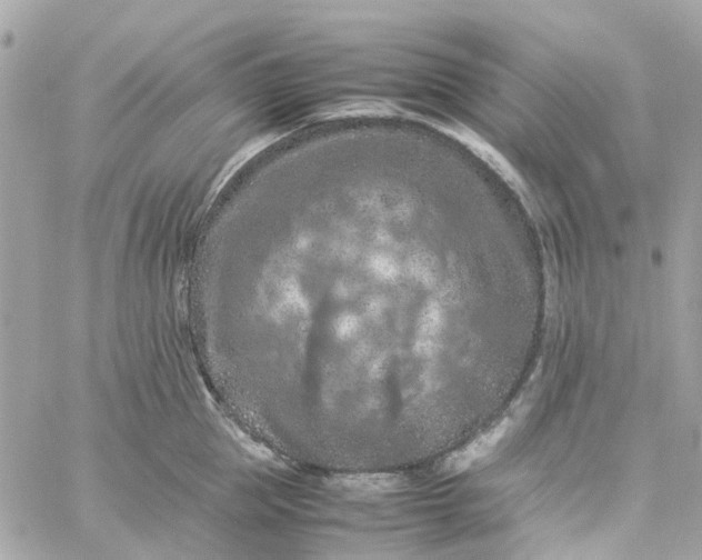 X0000059250953200510281953