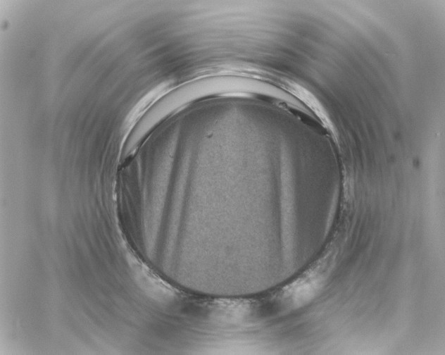 X0000059250954200510281953