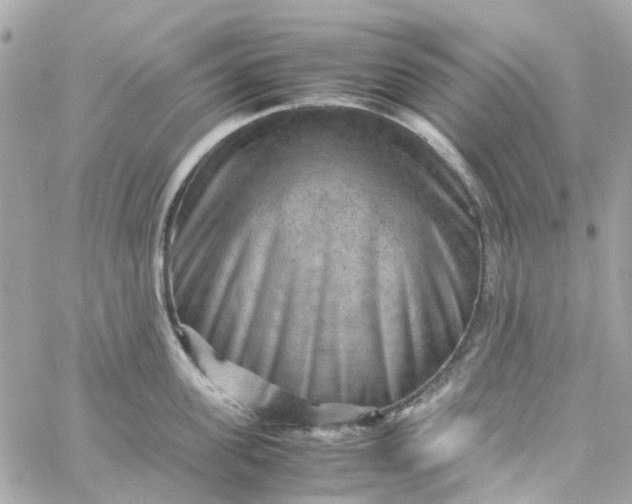 X0000059250955200510281953