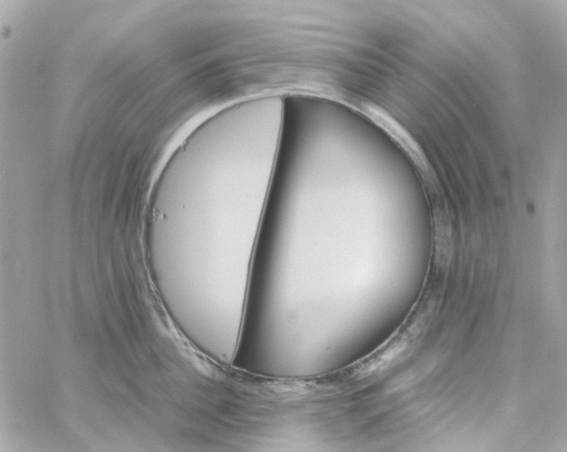 X0000059250956200510281953