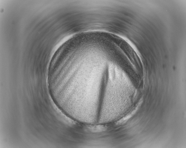 X0000059250957200510281953