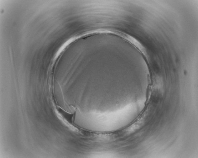 X0000059250958200510281953