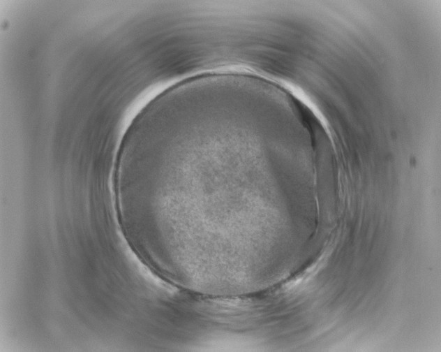 X0000059250959200510281953