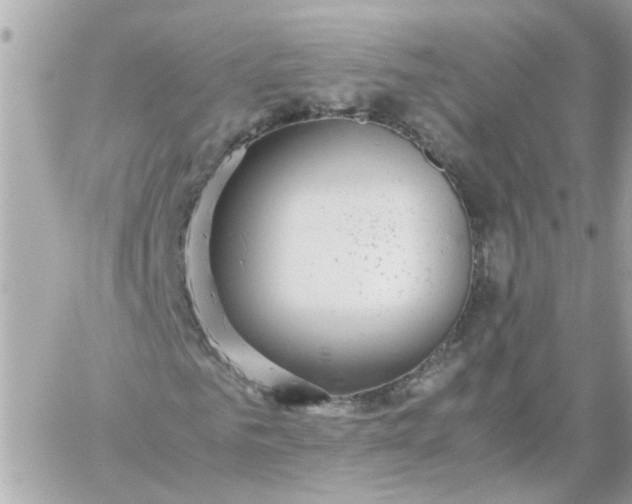 X0000059250961200510281952