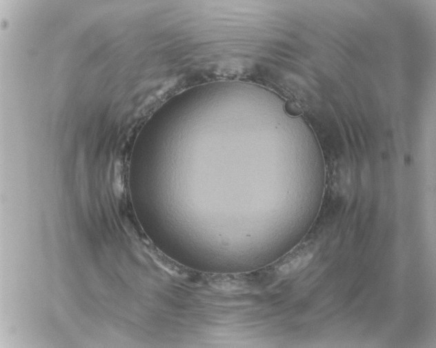 X0000059250962200510281952