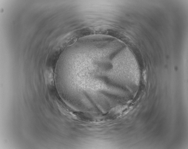 X0000059250963200510281952