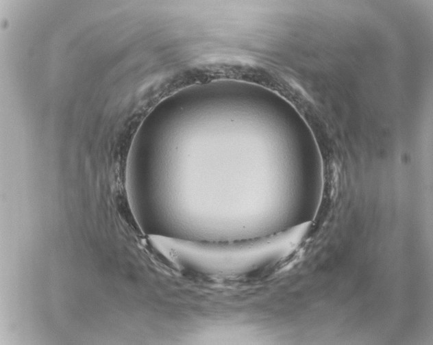 X0000059250965200510281952