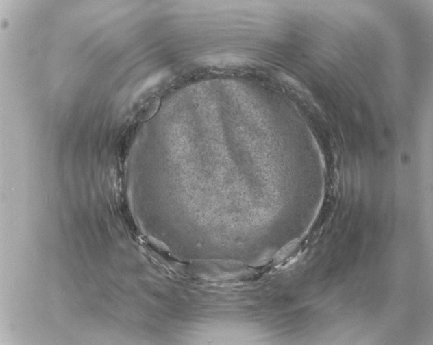 X0000059250966200510281952