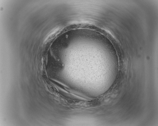 X0000059250967200510281952